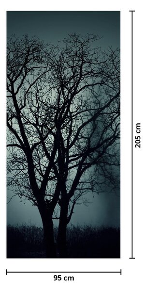 Fototapet pentru ușă - Copaci în umbră (95x205cm)
