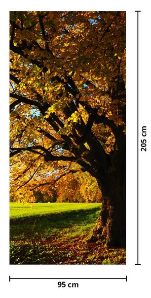 Fototapet pentru ușă - Toamna (95x205cm)
