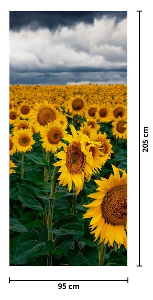 Fototapet pentru ușă - Câmp cu floare soarelui (95x205cm)