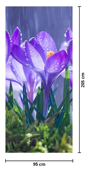 Fototapet pentru ușă - Flori în ploaie (95x205cm)
