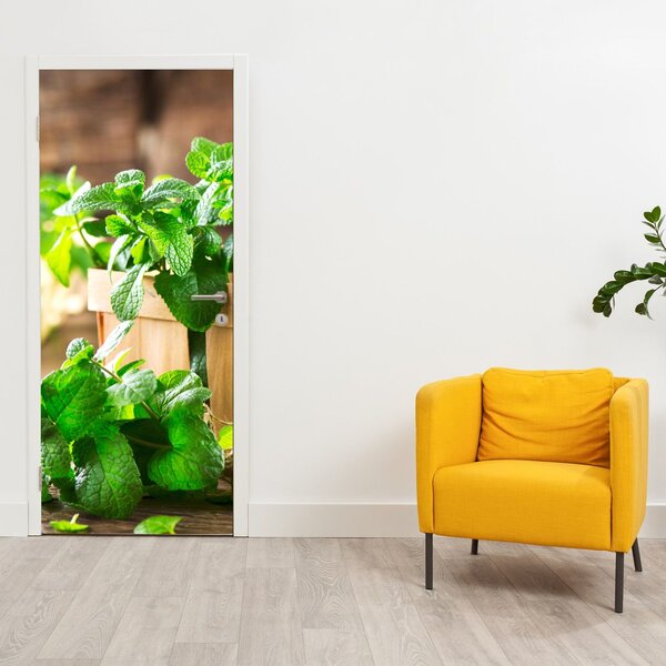 Fototapet pentru ușă - Menta proaspătă (95x205cm)