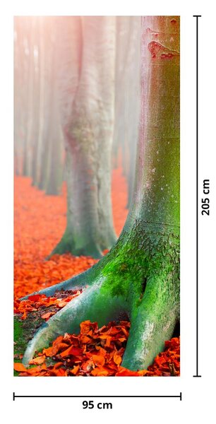 Fototapet pentru ușă - Copacii (95x205cm)