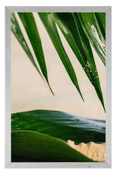 Poster natura moartă pe plajă