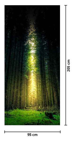 Fototapet pentru ușă - Pădurea Întunecată (95x205cm)