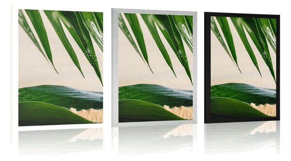 Poster natura moartă pe plajă