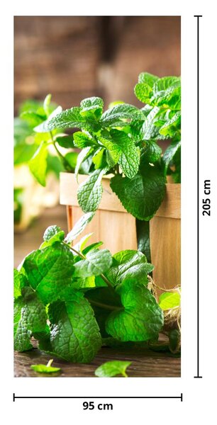 Fototapet pentru ușă - Menta proaspătă (95x205cm)