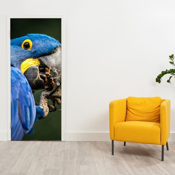 Fototapet pentru ușă - Papagal (95x205cm)