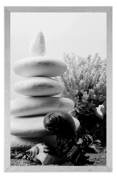 Poster pietre Zen cu scoici în design alb-negru