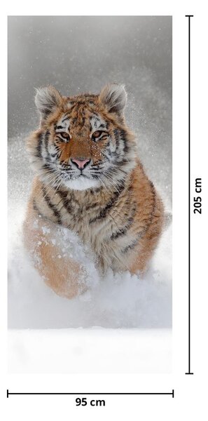 Fototapet pentru ușă - Tigrul care aleargă în zăpadă (95x205cm)