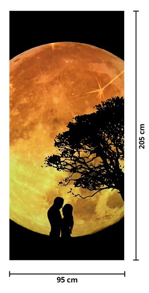 Fototapet pentru ușă - Umbre la lumina lunii (95x205cm)