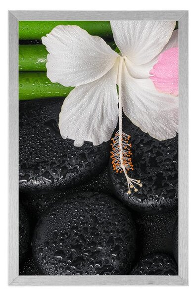 Poster natura moartă wellness