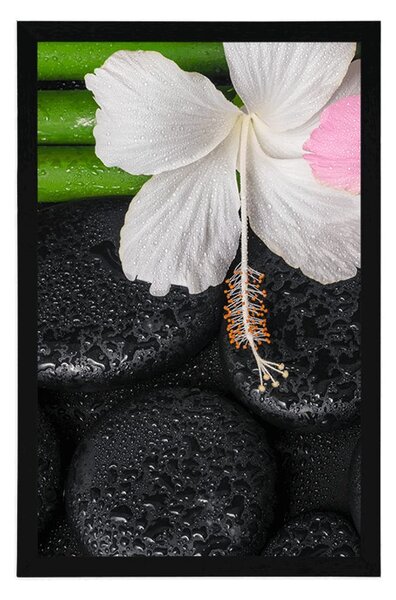 Poster natura moartă wellness