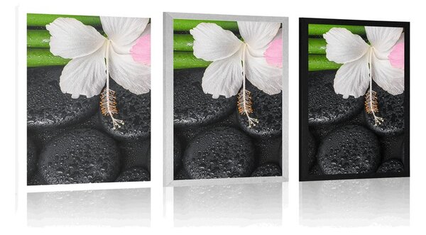 Poster natura moartă wellness
