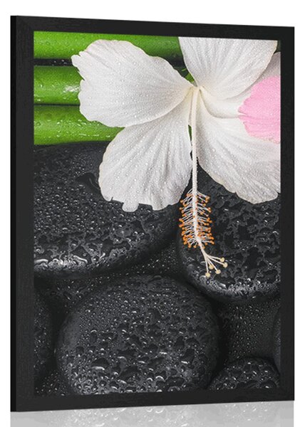 Poster natura moartă wellness