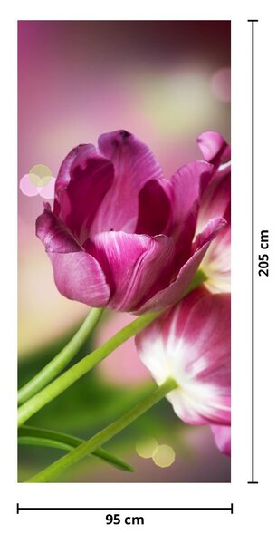 Fototapet pentru ușă - Lalele roz (95x205cm)