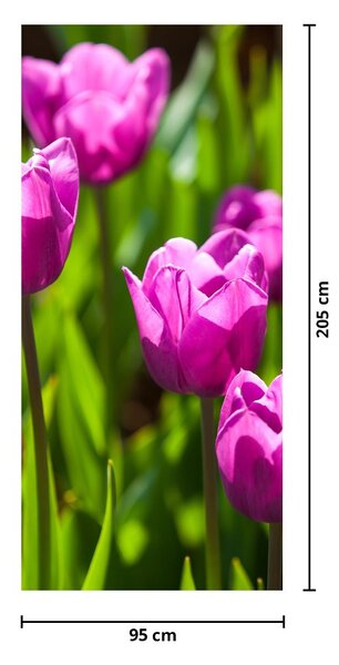 Fototapet pentru ușă - Lalele în câmp (95x205cm)