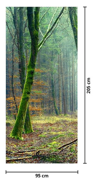 Fototapet pentru ușă - Pădurea (95x205cm)