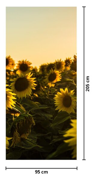 Fototapet pentru ușă - Câmpul cu floarea soarelui (95x205cm)
