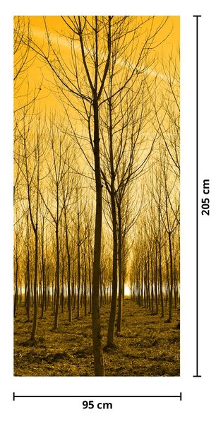 Fototapet pentru ușă - Pădurea la apus de soare (95x205cm)