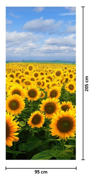 Fototapet pentru ușă - Câmp cu floare soarelui (95x205cm)
