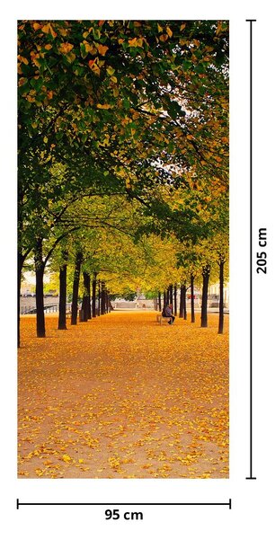 Fototapet pentru ușă - Aleea cu pomi toamna (95x205cm)
