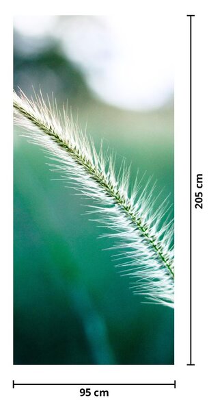 Fototapet pentru ușă - Fir de iarbă (95x205cm)