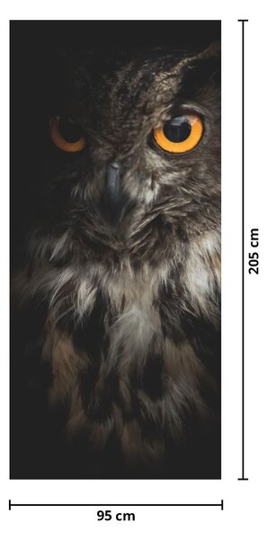 Fototapet pentru ușă - Bufnița (95x205cm)