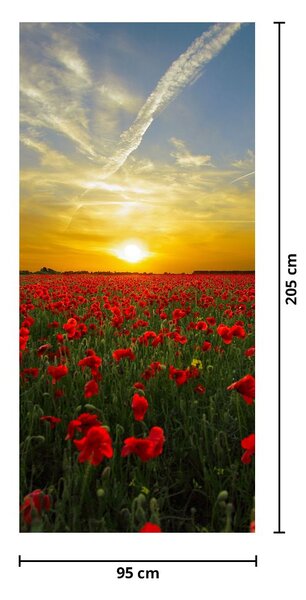 Fototapet pentru ușă -Câmp cu maci (95x205cm)