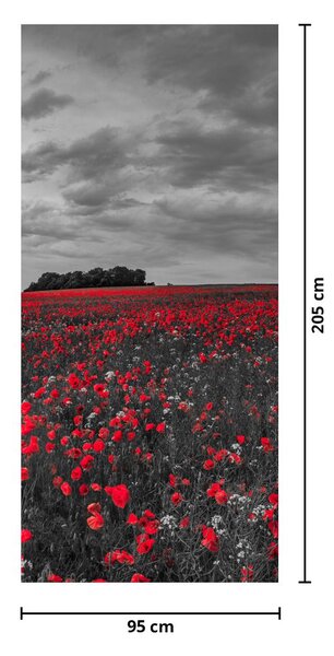 Fototapet pentru ușă - Maci (95x205cm)