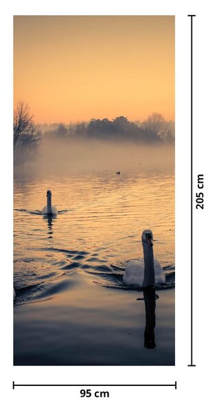 Fototapet pentru ușă - Lebede pe apă în ceață (95x205cm)