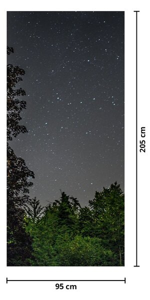 Fototapet pentru ușă - Cerul noaptea (95x205cm)