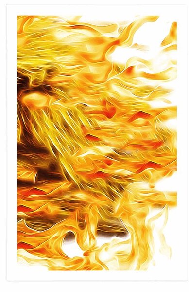 Poster foc abstract