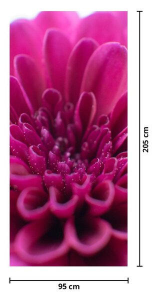 Fototapet pentru ușă - Floarea (95x205cm)