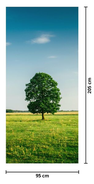 Fototapet pentru ușă - Copac în luncă (95x205cm)