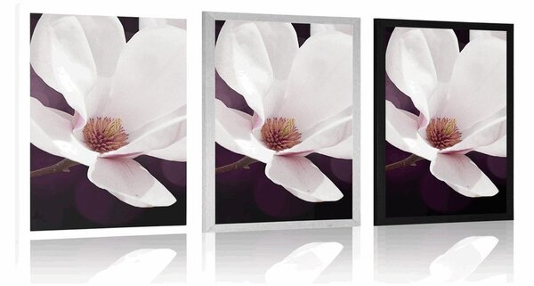 Poster flori de magnolie pe fundal abstract