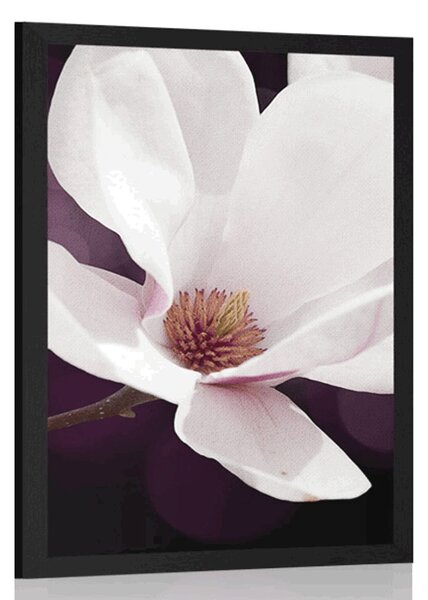 Poster flori de magnolie pe fundal abstract