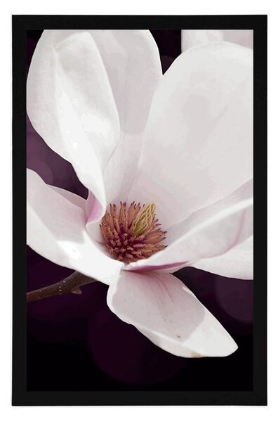 Poster flori de magnolie pe fundal abstract