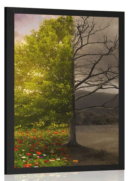 Poster două forme de copac