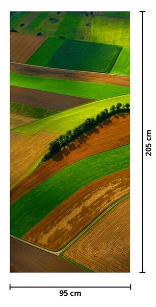 Fototapet pentru ușă - Câmp (95x205cm)