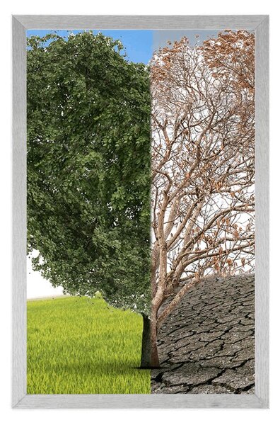 Poster copac în două forme