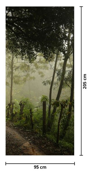 Fototapet pentru ușă - Ceața de dimineață (95x205cm)
