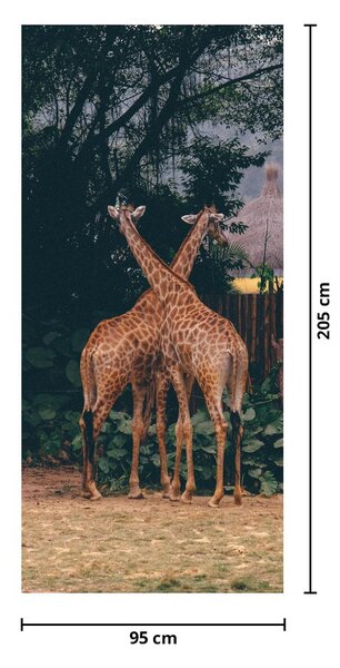 Fototapet pentru ușă - Două girafe (95x205cm)