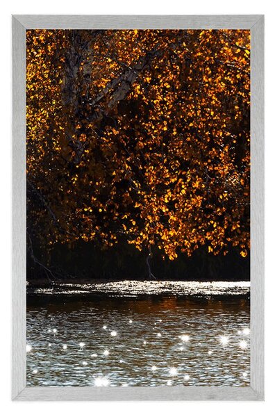 Poster reflecția frunzelor în lac