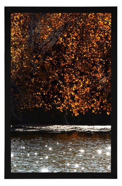 Poster reflecția frunzelor în lac