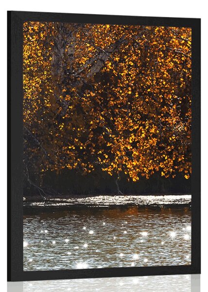Poster reflecția frunzelor în lac