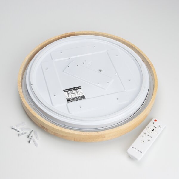 Brilagi - Plafonier LED reglabil PINE LED/24W/230V + telecomandă