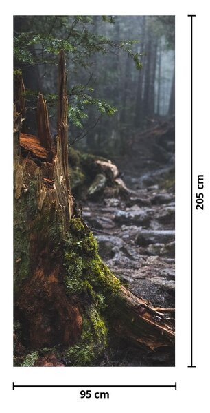 Fototapet pentru ușă - În pădure (95x205cm)