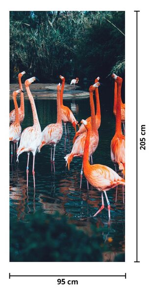 Fototapet pentru ușă - Cârd de flamingo (95x205cm)