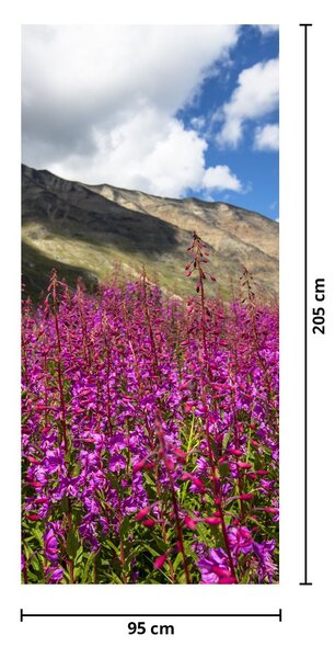 Fototapet pentru ușă - Peisaj de luncă de munte (95x205cm)