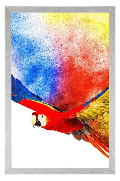 Poster zborul papagalului